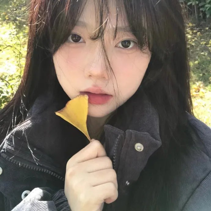 雨中的树